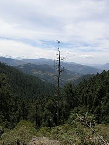 Paisaje de la Sierra de Chincua