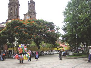 Michoacán.- Zamora
