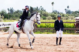 Festival del Caballo