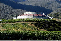 La Ruta del Vino.- Valle de Santo Tomás