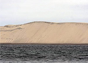 Guerrero Negro 01