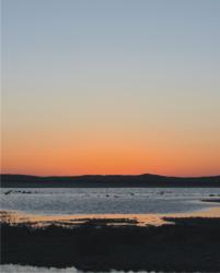 Guerrero Negro.- Atardecer en la Bahía Ojo de Liebre