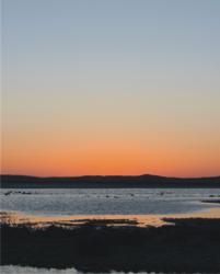 Guerrero Negro.- Atardecer en la Bahía Ojo de Liebre