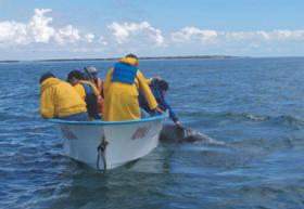 Guerrero Negro.- Turistas con Ballena Gris