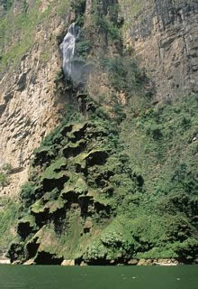 Cañón del Sumidero Y Árbol de Navidad