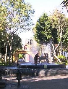 Jardín hidalgo