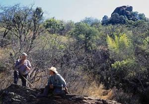 Sierra de Nanchititla