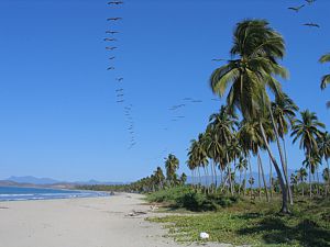 Playa Linda