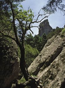Parque Nacional El Chico.- Las Ventanas