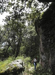 Parque Nacional El Chico.- Ecoturismo