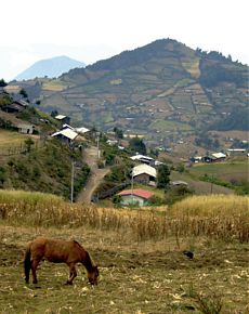 Ejido El Rosario