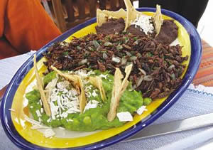 Gastronomía Oaxaqueña.- Chapulines