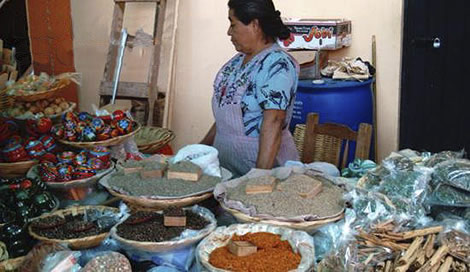 Mercados de Oaxaca 01