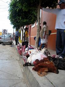 Mercados de Oaxaca.- Mercado de Ocotlán 03
