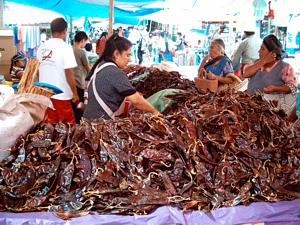 Mercados de Oaxaca.- Mercado de Tlacolula 01
