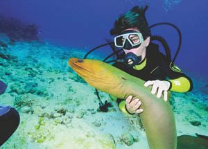 Paraíso para la práctica del buceo