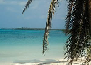 Playas en isla Contoy