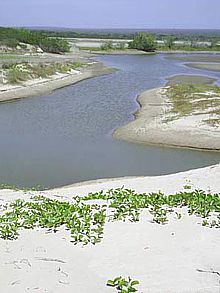 Meseta de Cacaxtla