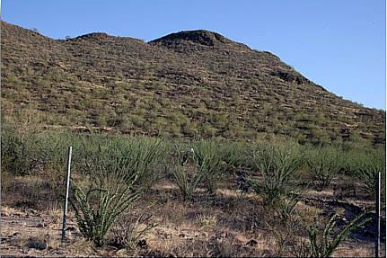 Cerro de Trincheras