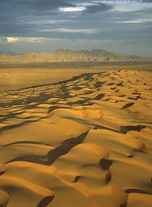 Dunas del Desierto de Altar