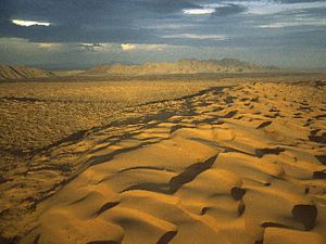 El Desierto de Altar