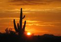 El Pinacate y Desierto de Altar Thb