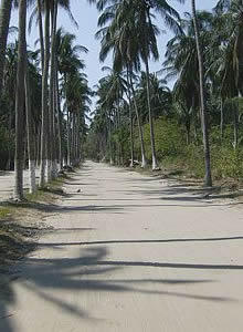 Acceso a playa Paraíso