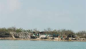 Laguna Madre