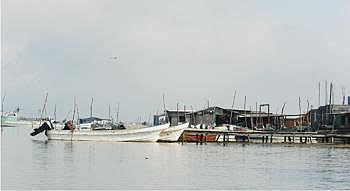 Laguna Madre