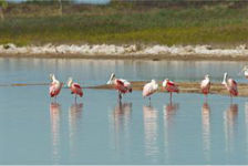 La Laguna Madre