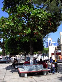 Coatzacoalcos.- Plaza principal