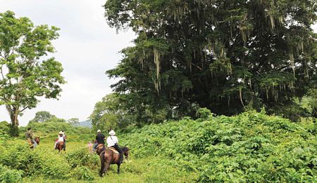 Zona arqueológica totonaca