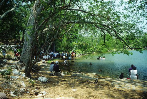 Cenote Zayab Utzil, en Libre Unión con más de 60 cenotes cerca de Chichén Itzá.