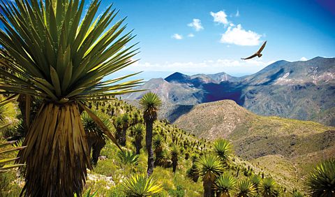 Área Natural protegida en San Luis Potosí.