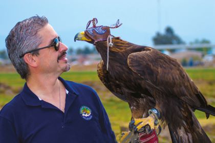 Águila Real