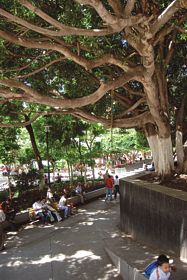 Zócalo de Chilpancingo