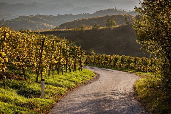 Descubriendo el País Vasco y La Rioja: Una Aventura Gastronómica y Cultural