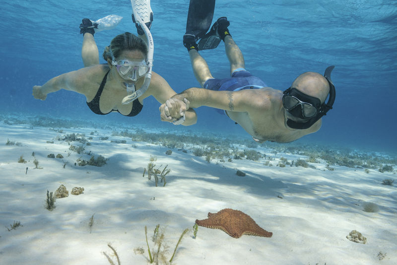 Cozumel VIVO Fest 2024