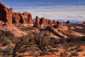 Arches National Park