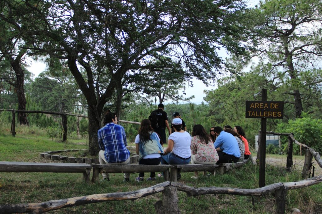 Bosque de la Primavera